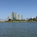 미도세차장 이미지