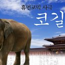 뷰스코 Daum카페