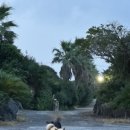 장춘황토마을 이미지