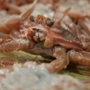 추도펜션 이미지