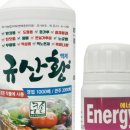황규산농장 네이버블로그