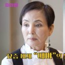 안소영 카카오 검색결과