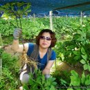 김미숙농장 이미지