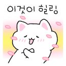 심쿵회수산
