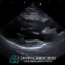 뉴타운동물병원 이미지