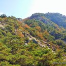 남산 이미지