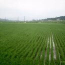 곡성농협연합미곡처리장 이미지