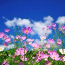 오늘은안아픈의원 이미지