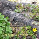 밥풀 이미지