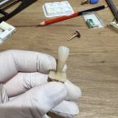 에이블덴탈 | 코사카 유키히로(kosaka yukihiro) 선생님의 Anterior replica 일본 세미나 후기