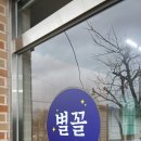 별꼴버섯