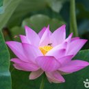 안동가을신선펜션 이미지