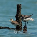 사촌1천 이미지