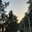 청사포정거장 이미지