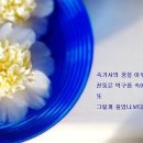 선진교육협회
