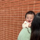 프룩(FRUK) 이미지