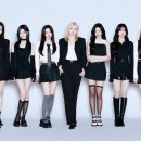 미니멀새비지 이미지