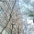 여의도봄약국 | 여의도 피부과 릴리이드 물광주사 내돈내산 찐후기