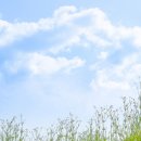 푸른하늘 이미지