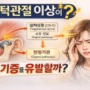 턱관절(TMJ)과 현기증의 관계 해부학적 구조와 기능을 통해 보는 어지럼증의 진짜 원인 이미지