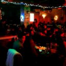 버블캣츠 이미지