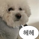 길거리 먹방의 달인