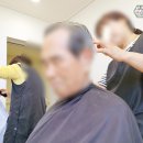 백향목골든케어 이미지