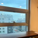 고양이별 캣 카페 이미지