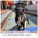 중앙공원쪽 횡단보도(이마트 맞은편) | 군산 경암동 철길마을 주차 자리 시간 초코랑 다녀온 후기