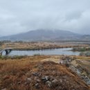 여주-1010 이미지