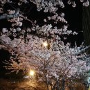 부산시립정신병원 이미지