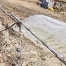 (주)클럽다모아 | 파크 골프채 가격 및 학습과정 대회 정보 정리