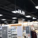 JAJU 자주 주방 추천템 열탕 소독 가능한 양면 수세미