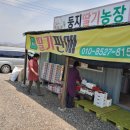 진명농장 이미지