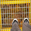 울렁다리 화장실 이미지