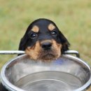 온담동물의료센터 이미지