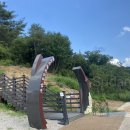금산군 관광안내소 이미지