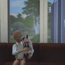 로로동물병원 이미지