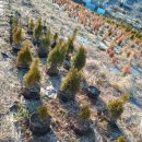 에코농장 이미지