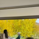 신정 | 4.19 카페거리 보리밥 맛집 추천 신정 보리밥 방문 후기