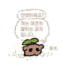 오잉키 이미지