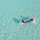 월정리에 이미지