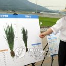 고성녹즙 이미지