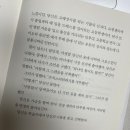 십오센티미터 이미지