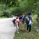 두척계곡 이미지