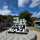 대명생태공원 화장실 | 경북 문경 가볼만한곳 문경새재 도립공원 생태 미로공원 - 방문후기