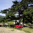 산수화민박 이미지