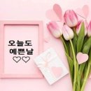 기공체조교실 이미지