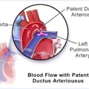 해마루 동물병원 이미지