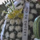 금호당 BTN불교TV
